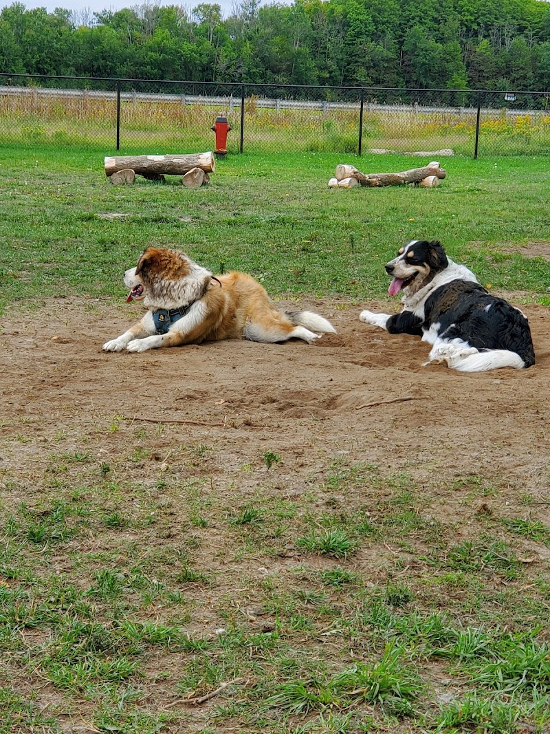 Clearview EcoBark Dog Park dog park in Stayner, Ontario