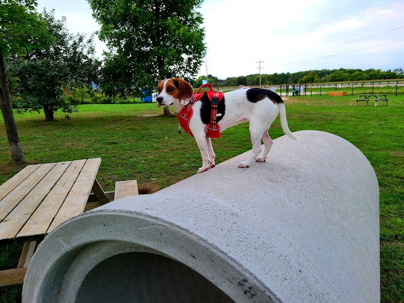 Clearview EcoBark Dog Park dog park in Stayner, Ontario