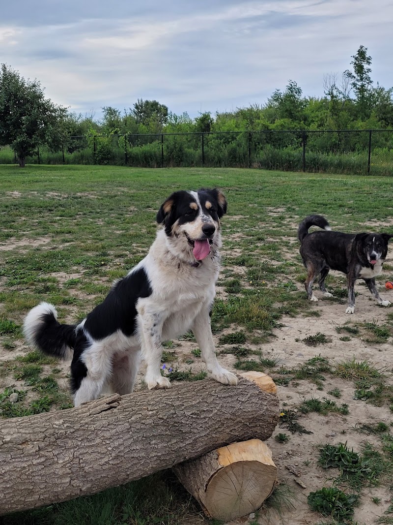 Clearview EcoBark Dog Park dog park in Stayner, Ontario
