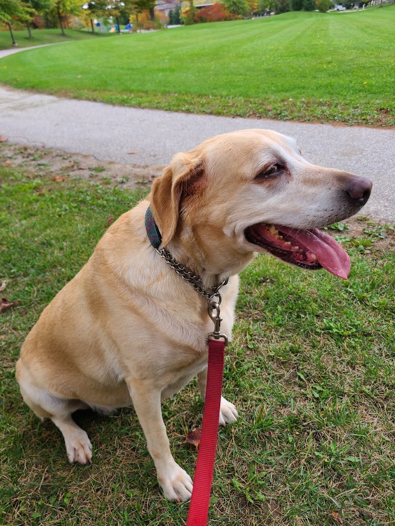 Orillia Off-Leash Dog Park dog park in Orillia, Ontario