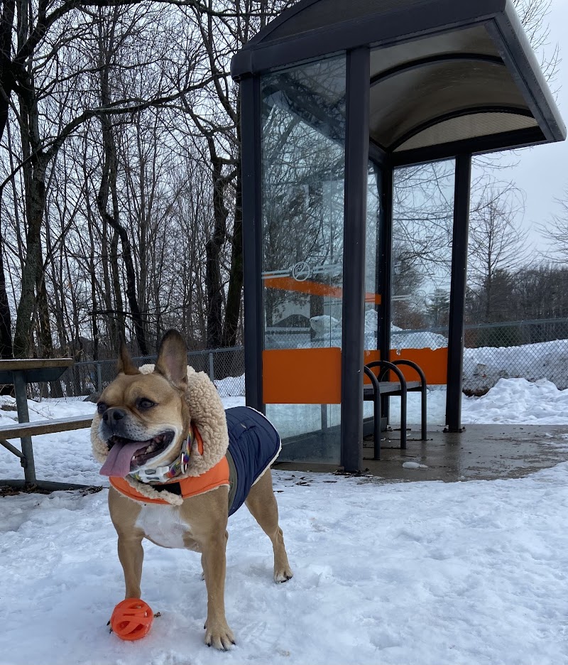 Orillia Off-Leash Dog Park dog park in Orillia, Ontario