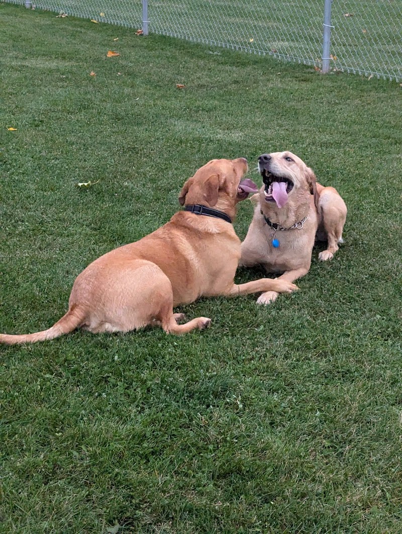 Heritage Park Dog Park dog park in The Blue Mountains, Ontario