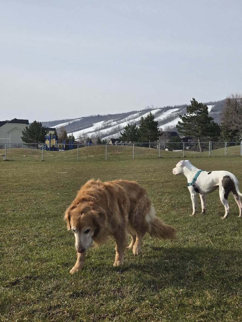 Heritage Park Dog Park dog park in The Blue Mountains, Ontario