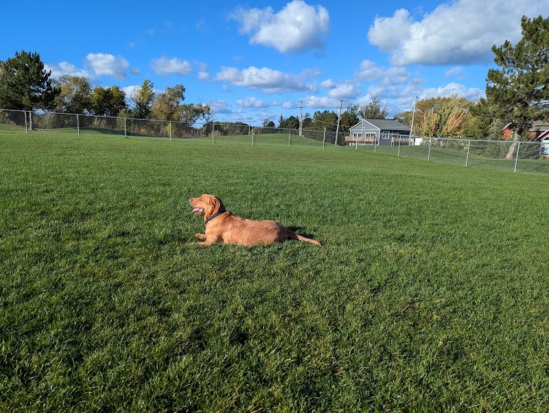 Heritage Park Dog Park dog park in The Blue Mountains, Ontario