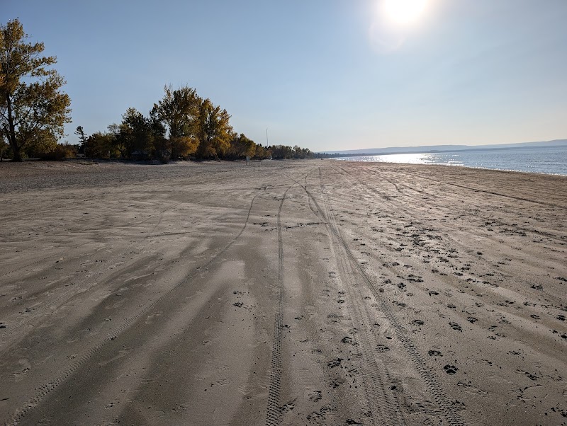 Wasaga Beach Dog Beach dog park in Wasaga Beach, Ontario