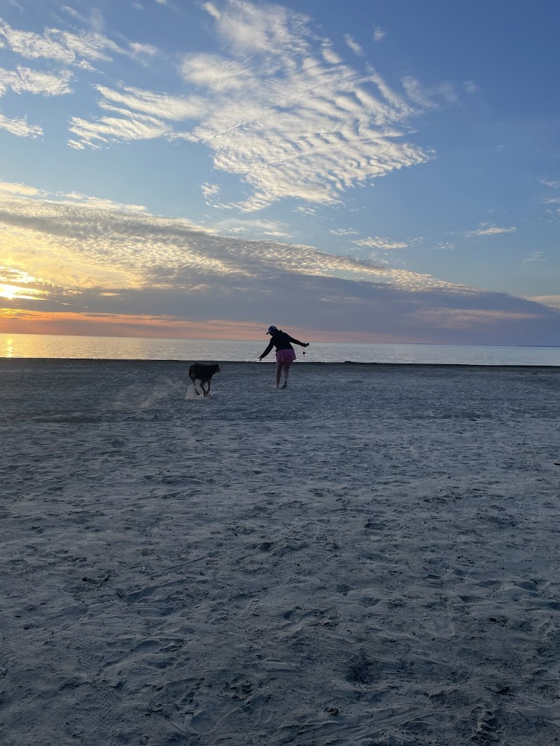 Wasaga Beach Dog Beach dog park in Wasaga Beach, Ontario