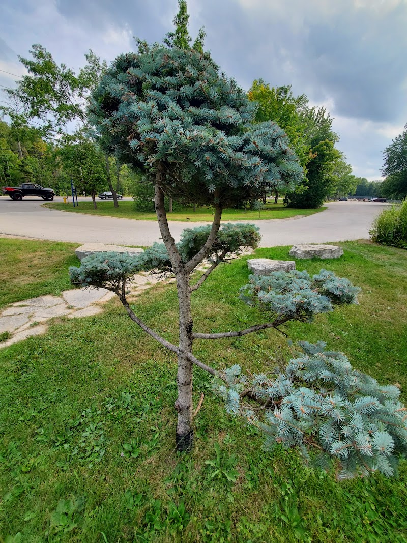 Town of Wasaga Beach Dog Park dog park in Wasaga Beach, Ontario