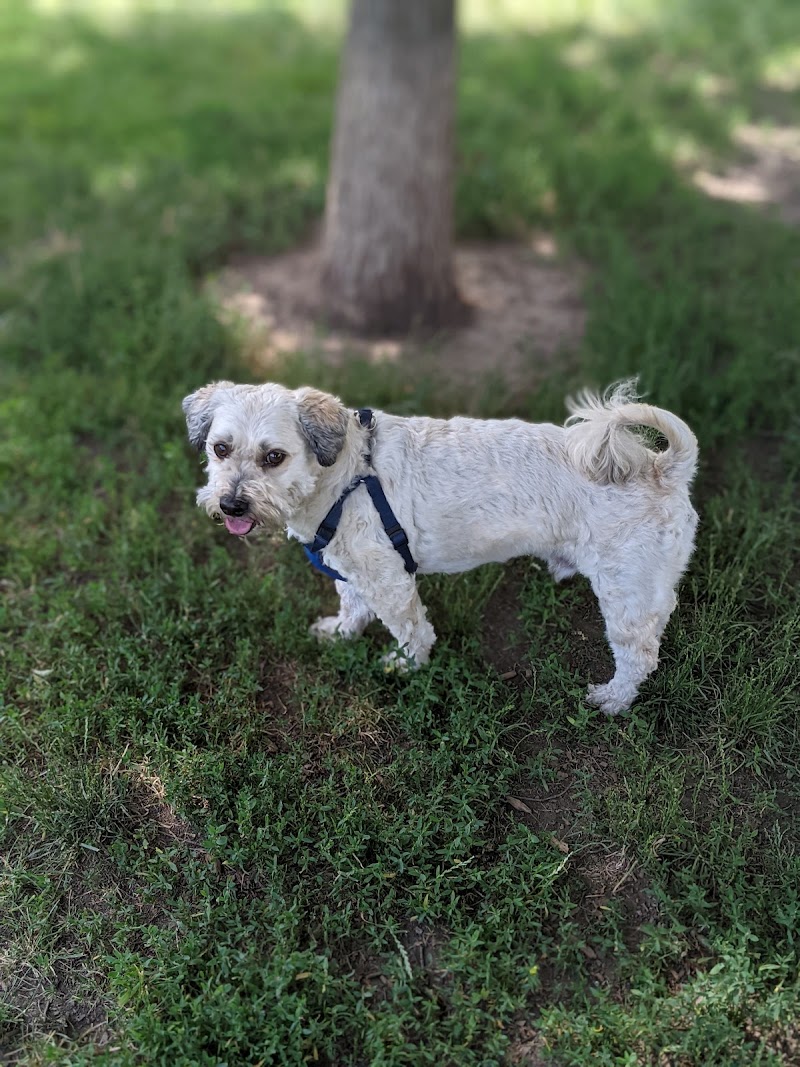 Botany Hill Dog Park dog park in Scarborough, Ontario