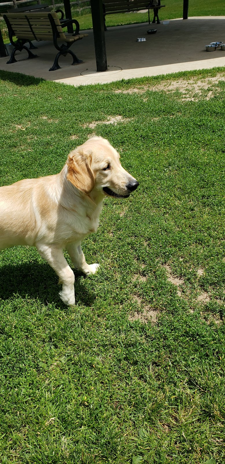 Botany Hill Dog Park dog park in Scarborough, Ontario