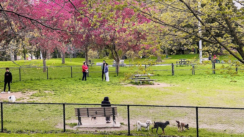 Hand of God Dog Park dog park in Scarborough, Ontario