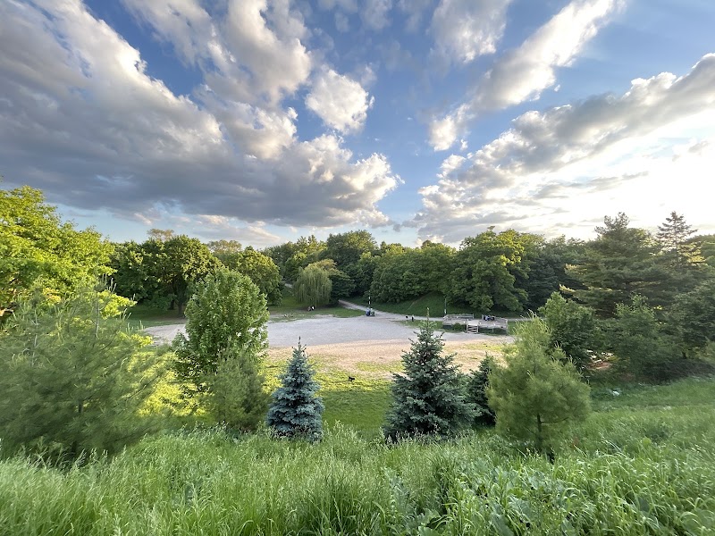 Trinity Bellwoods Park Dog Bowl dog park in Toronto, Ontario