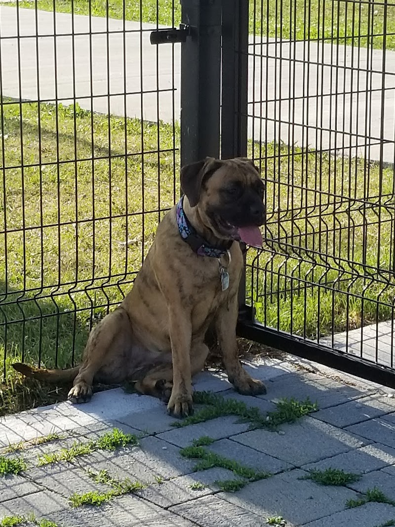 Confederation Dog Park dog park in Toronto, Ontario