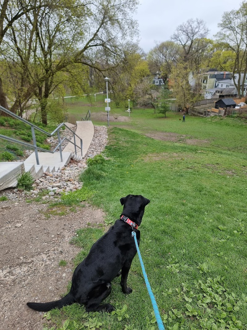 Cassels Park dog park in Toronto, Ontario