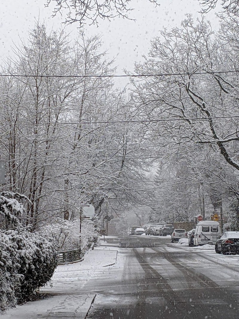 Cassels Park dog park in Toronto, Ontario