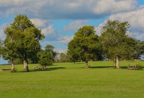 Merrill dog park dog park in Toronto, Ontario