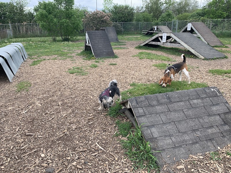 Miller Avenue Off-Leash Dog Park dog park in Markham, Ontario