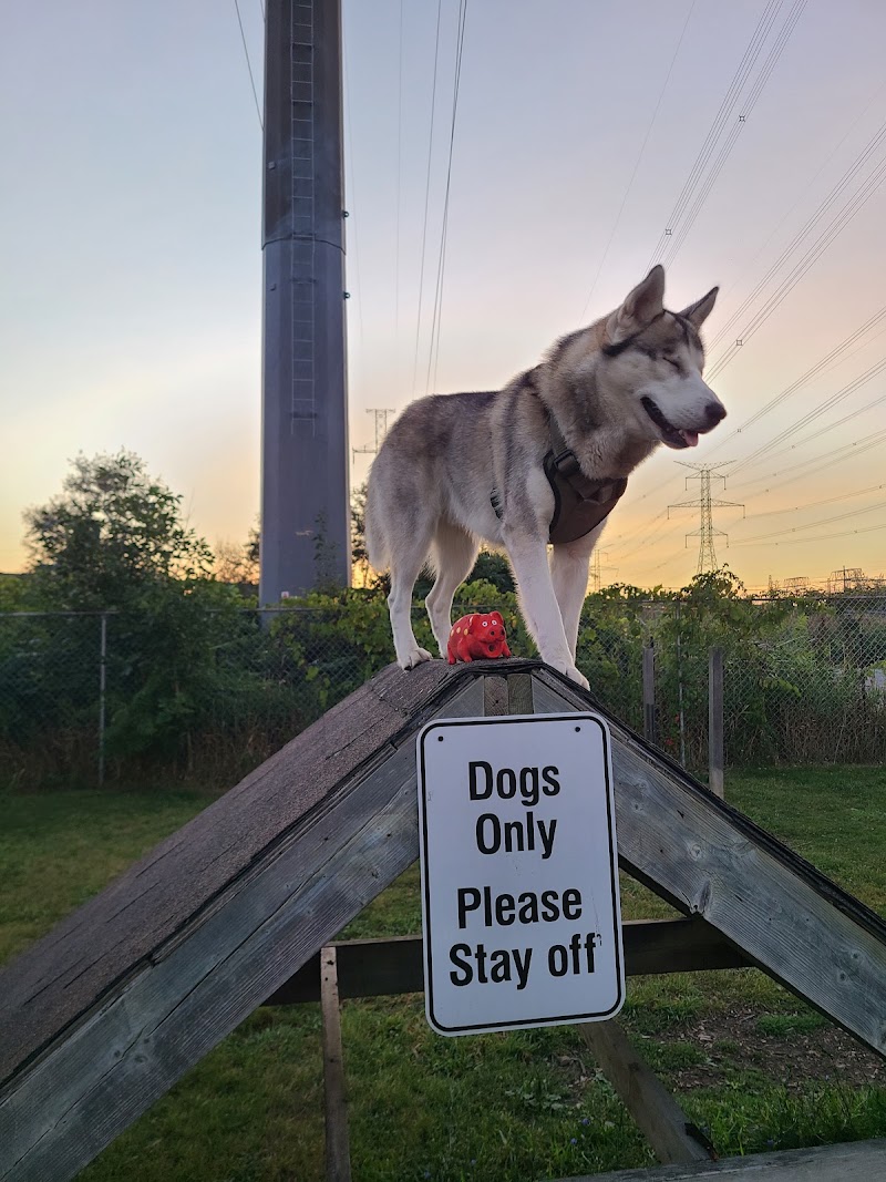 Miller Avenue Off-Leash Dog Park dog park in Markham, Ontario