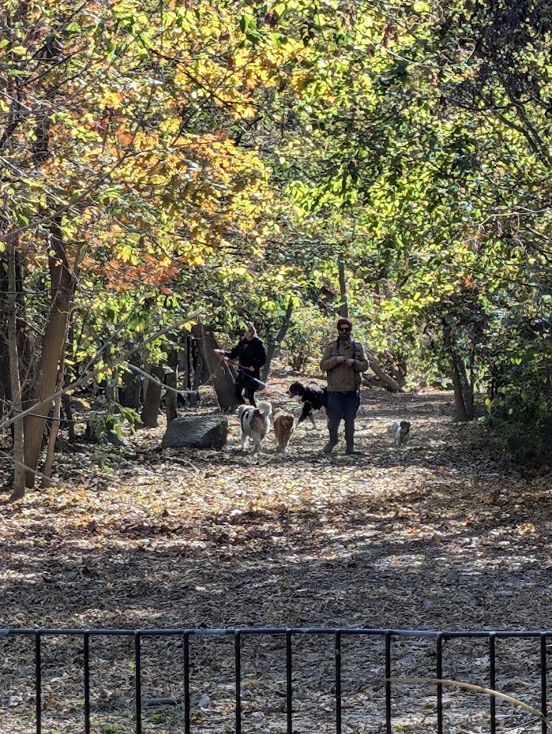 Don Valley Brick Works Dog Park dog park in Toronto, Ontario