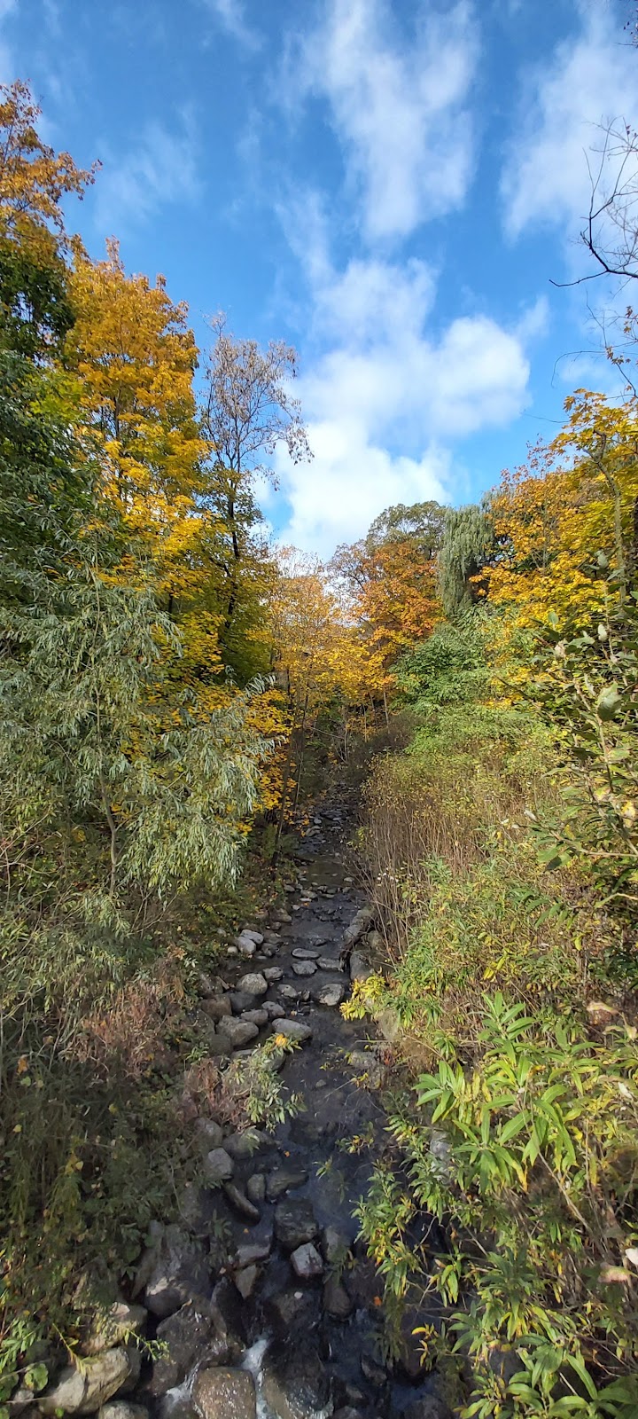Don Valley Brick Works Dog Park dog park in Toronto, Ontario
