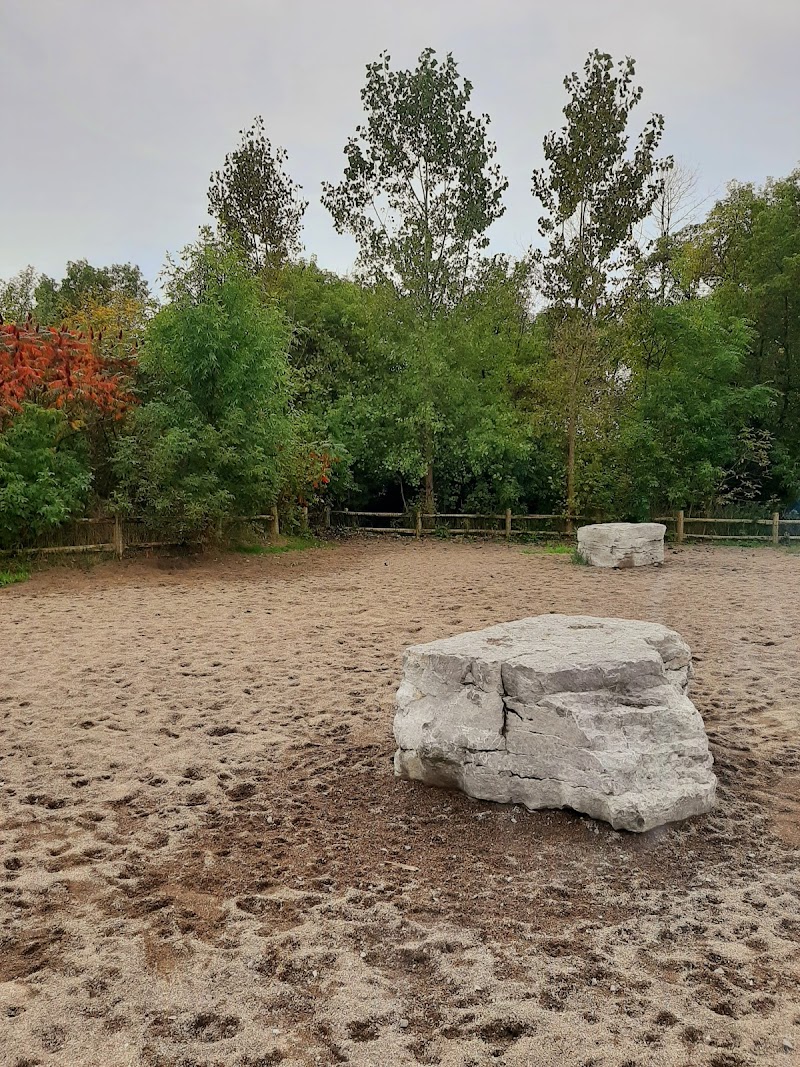 Marie Curtis Dog Park dog park in Mississauga, Ontario