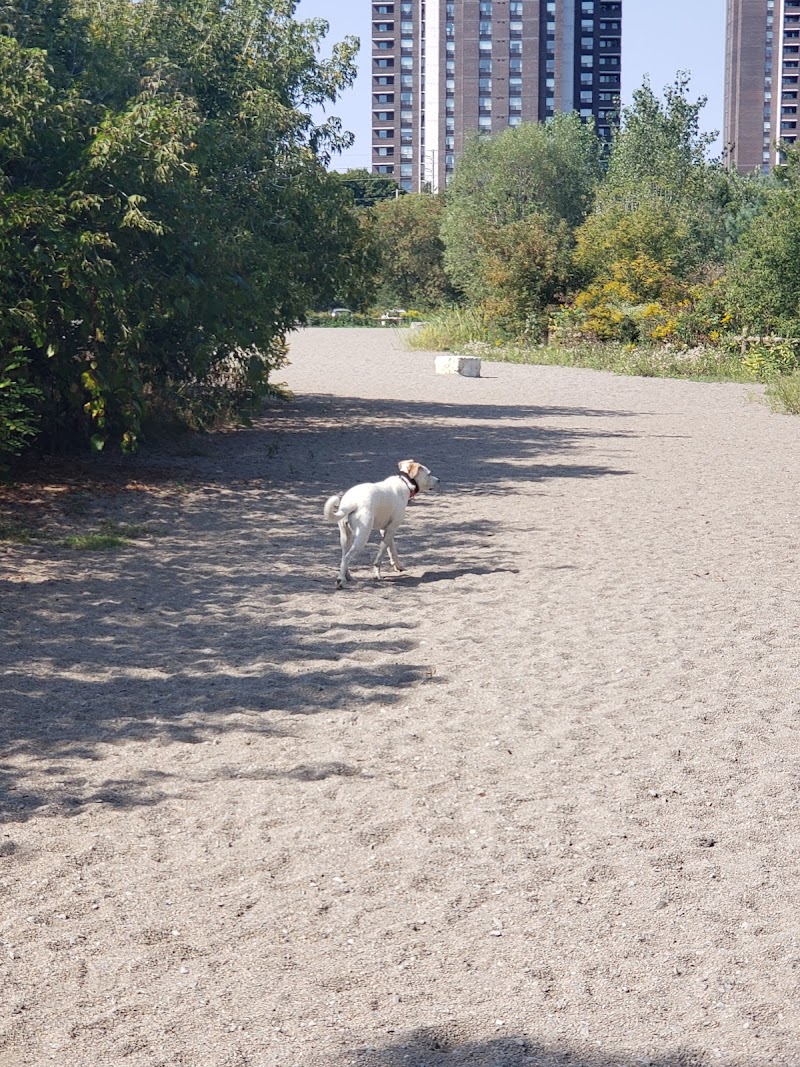 Marie Curtis Dog Park dog park in Mississauga, Ontario