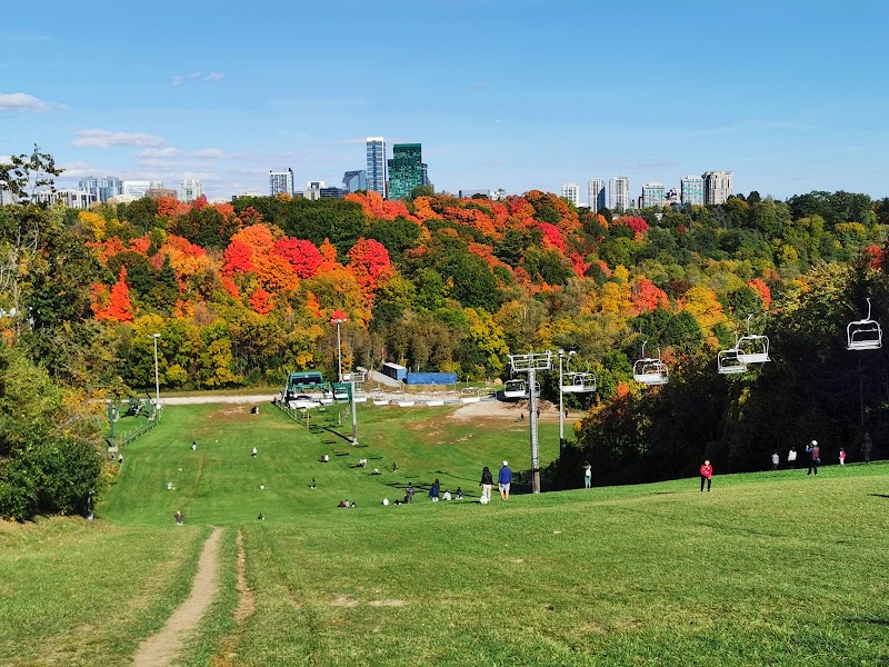 Earl Bales Park dog park in North York, Ontario