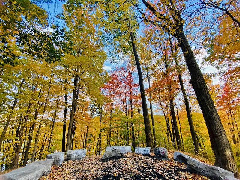 Earl Bales Park dog park in North York, Ontario