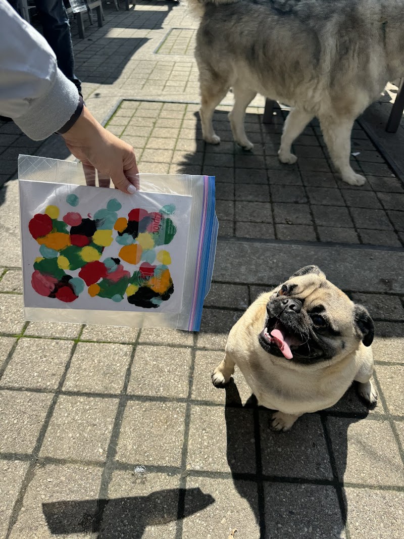 Mutts in the 6ix dog park in Toronto, Ontario