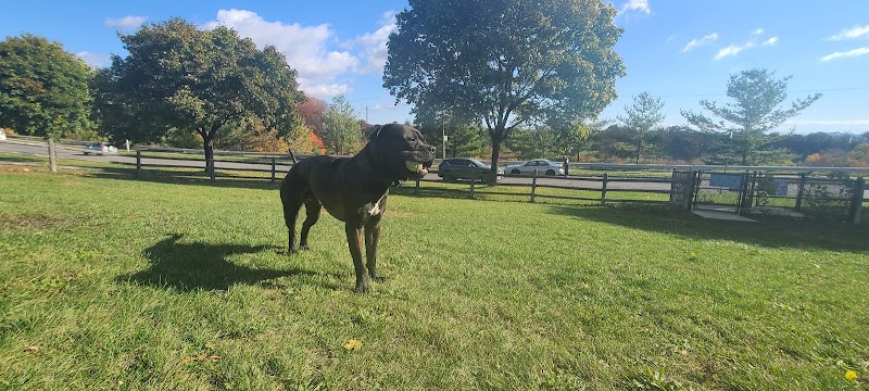 Linkwood Lane Dog Park dog park in Toronto, Ontario