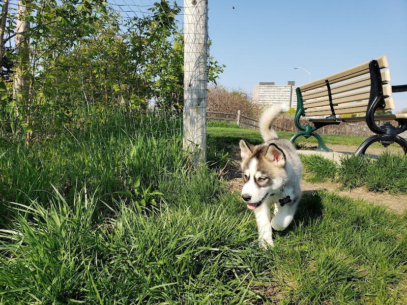 Linkwood Lane Dog Park dog park in Toronto, Ontario