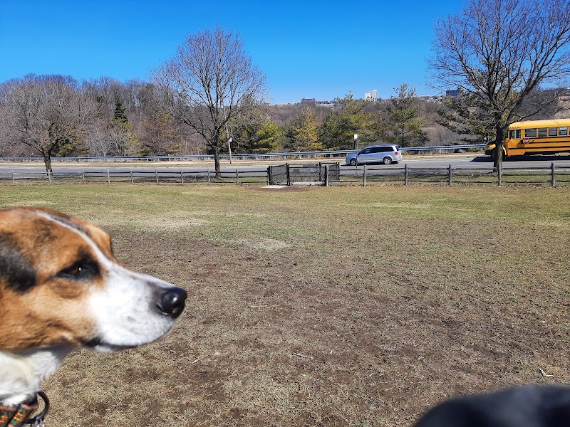 Linkwood Lane Dog Park dog park in Toronto, Ontario