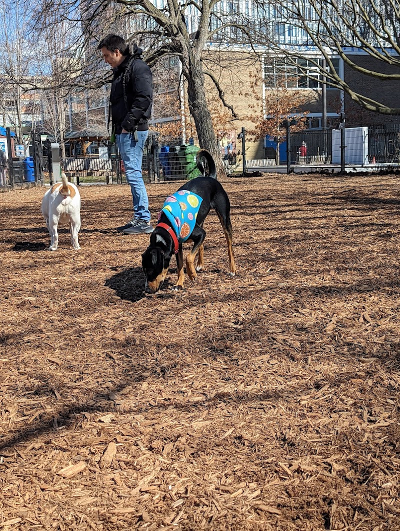 Grange Park Dog Off Leash Area dog park in Toronto, Ontario