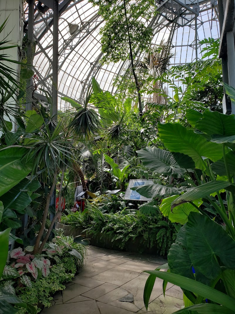 Allan Gardens dog park in Toronto, Ontario