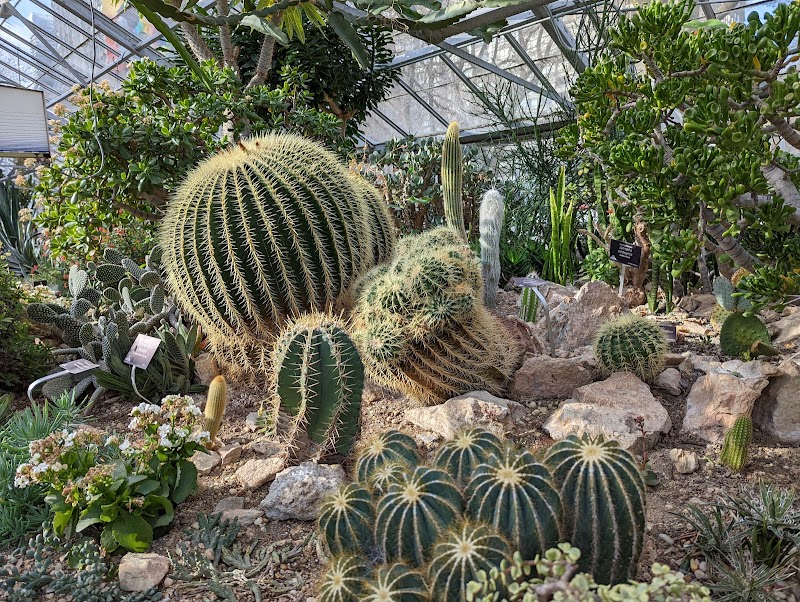 Allan Gardens dog park in Toronto, Ontario