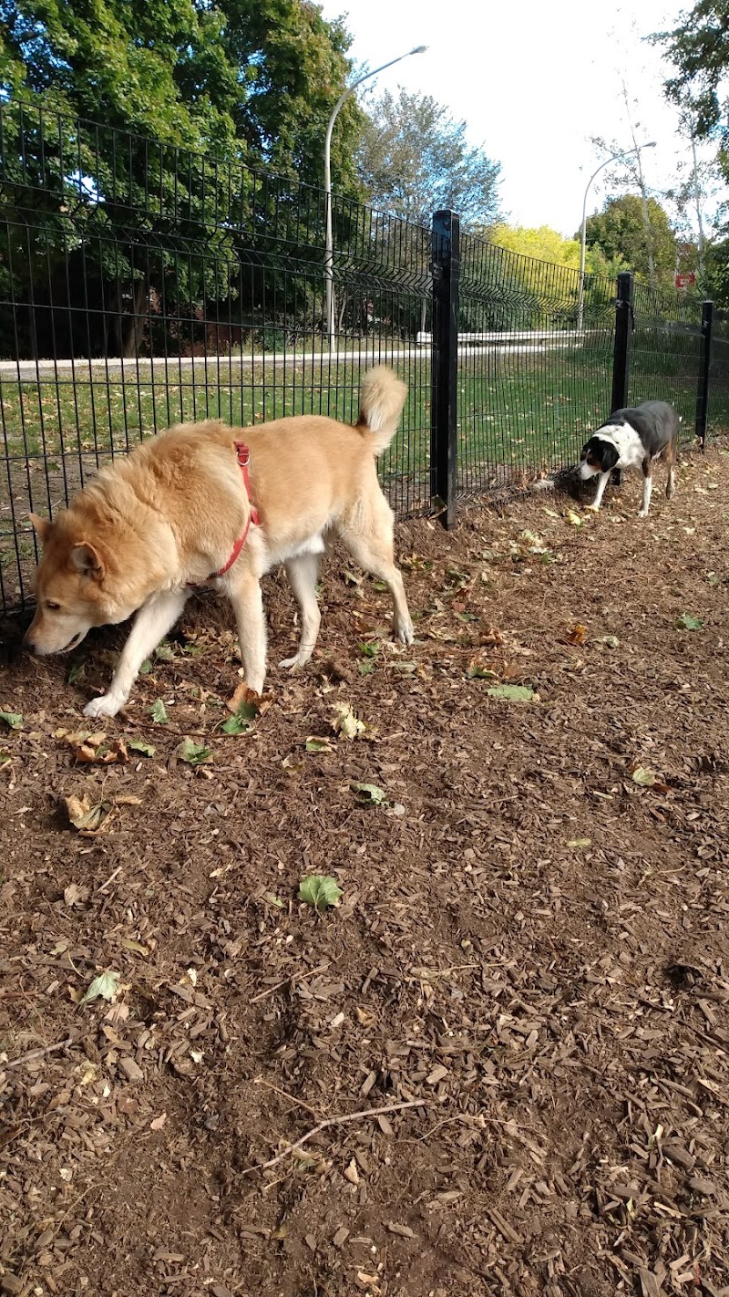 Orphan's Green Off Leash Dog Park dog park in Toronto, Ontario