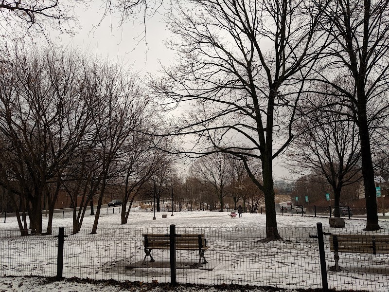 Orphan's Green Off Leash Dog Park dog park in Toronto, Ontario