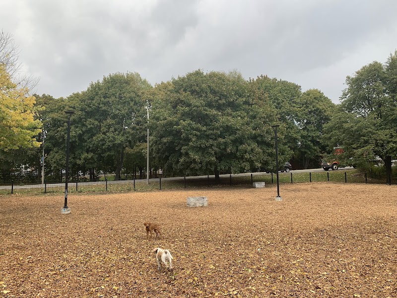 Orphan's Green Off Leash Dog Park dog park in Toronto, Ontario