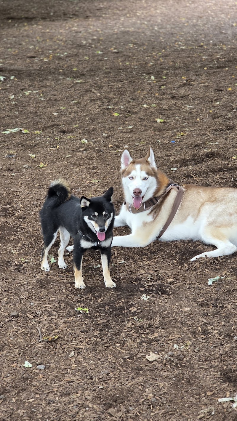 Orphan's Green Off Leash Dog Park dog park in Toronto, Ontario