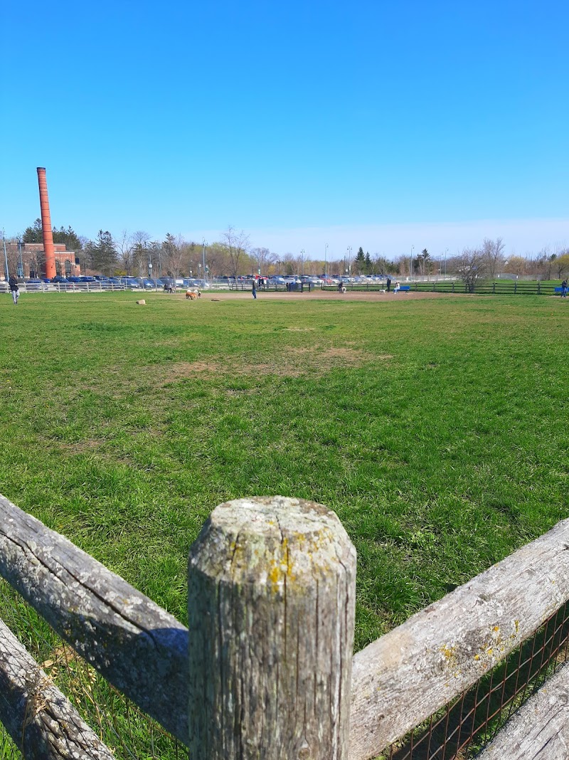 Colonel Samuel Smith Dog Park dog park in Etobicoke, Ontario