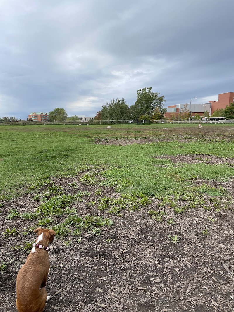 Colonel Samuel Smith Dog Park dog park in Etobicoke, Ontario