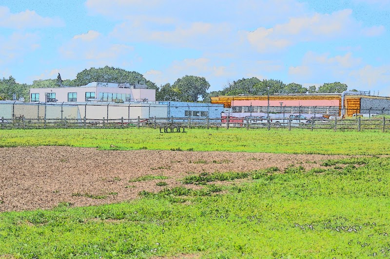Colonel Samuel Smith Dog Park dog park in Etobicoke, Ontario