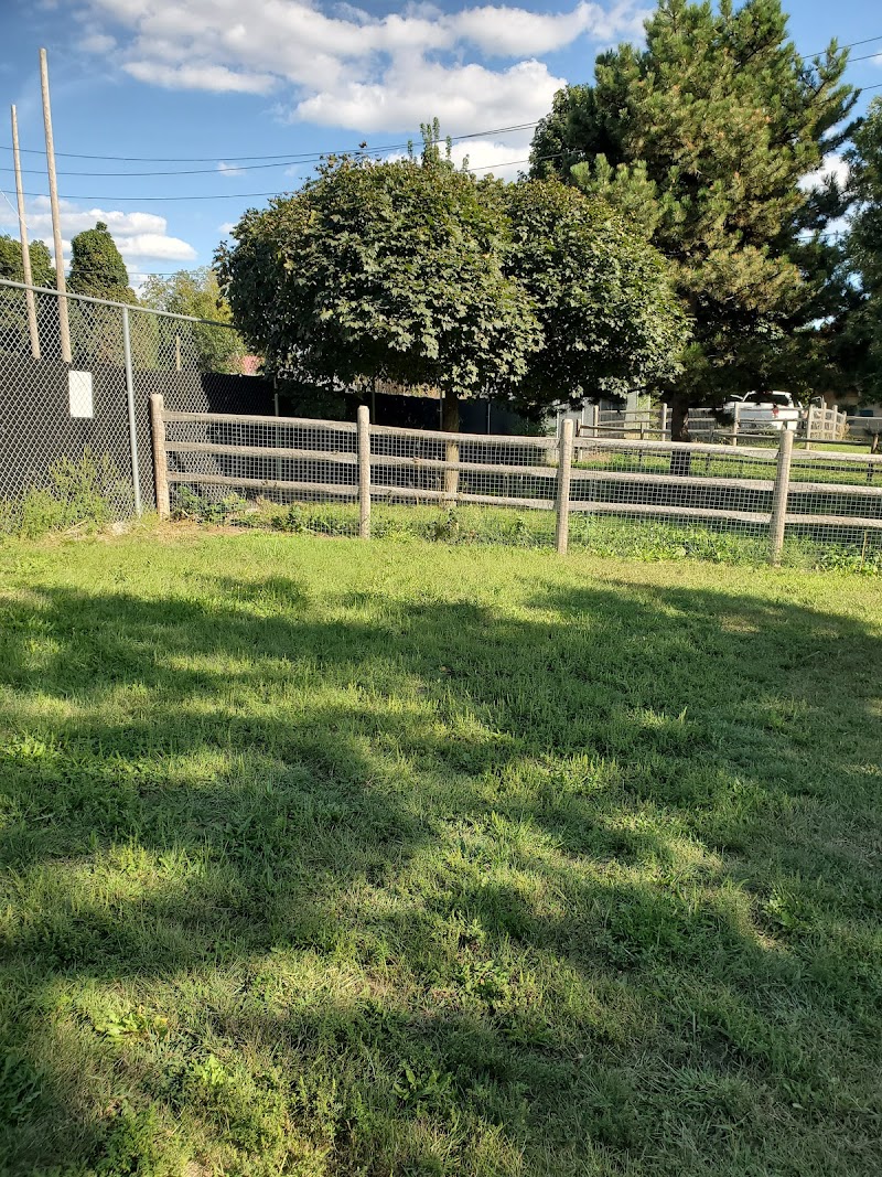 Woolner Dog Park dog park in Toronto, Ontario