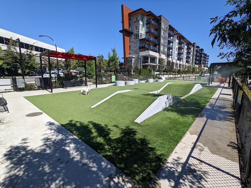 Lonsdale Off Leash Dog Plaza dog park in North Vancouver, British Columbia