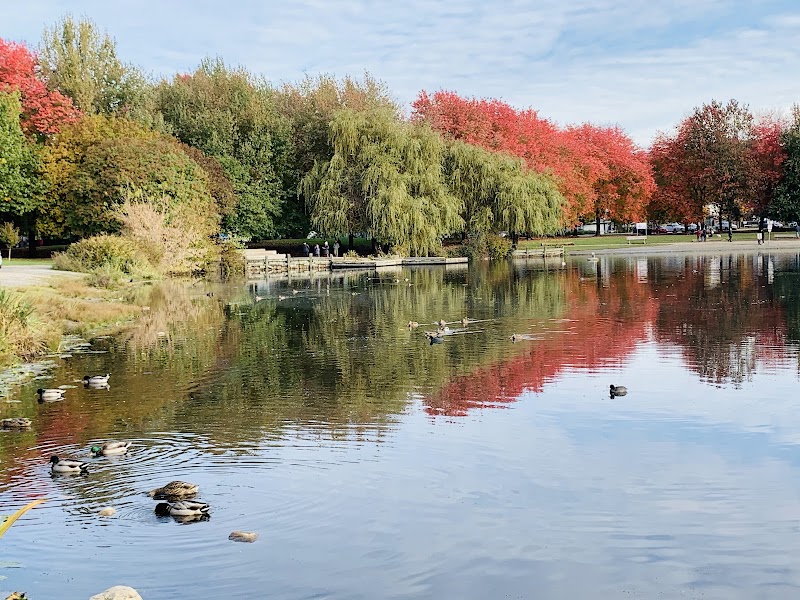 Trout Lake Off-Leash Area dog park in Vancouver, British Columbia