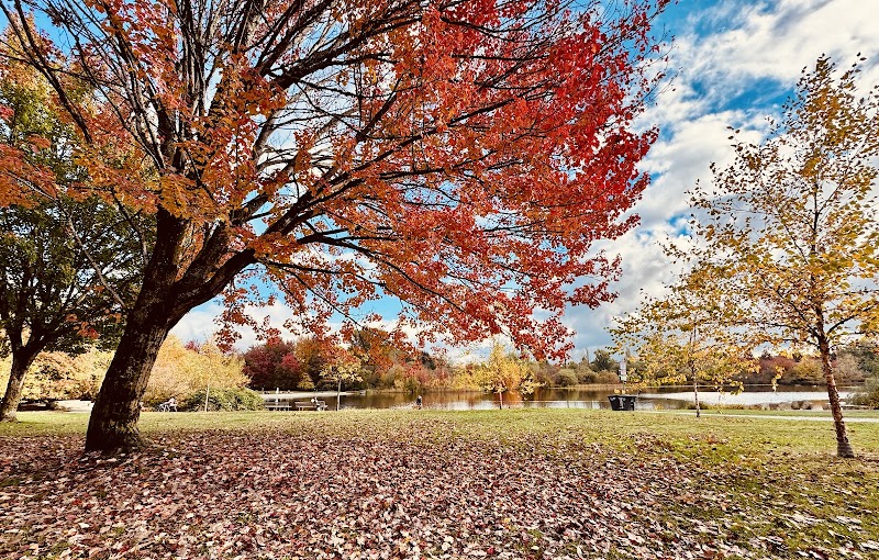 Trout Lake Off-Leash Area dog park in Vancouver, British Columbia