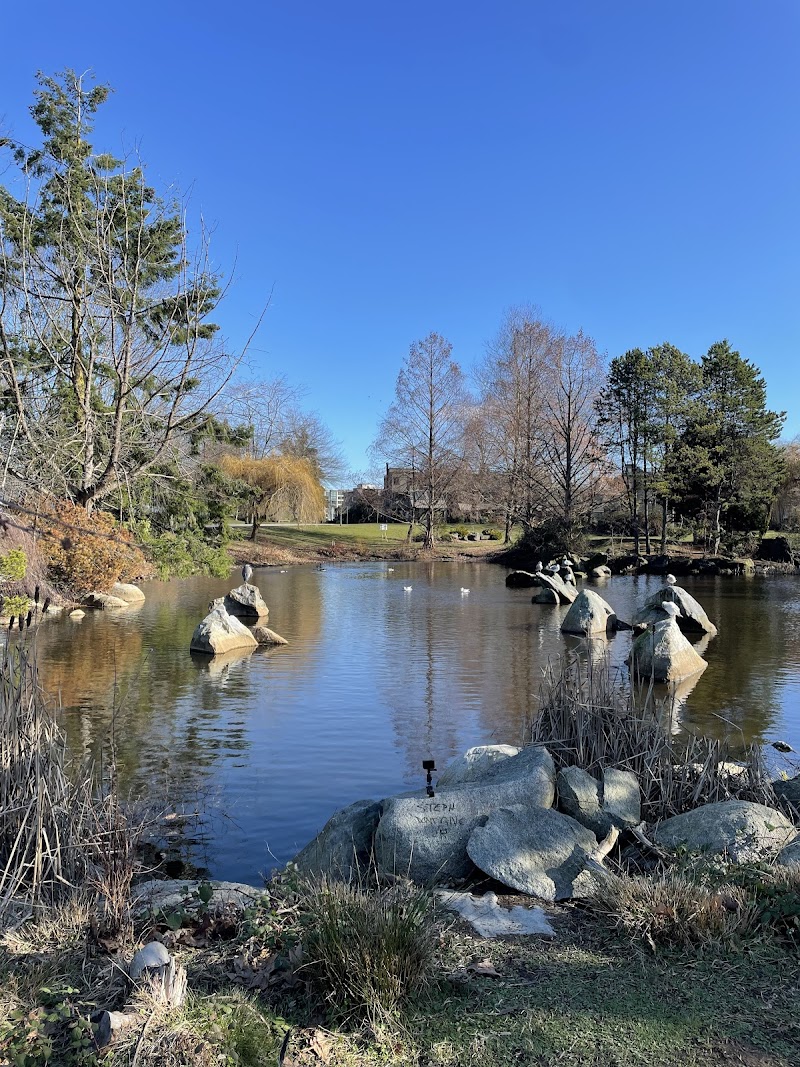 Charleson Dog Park dog park in Vancouver, British Columbia