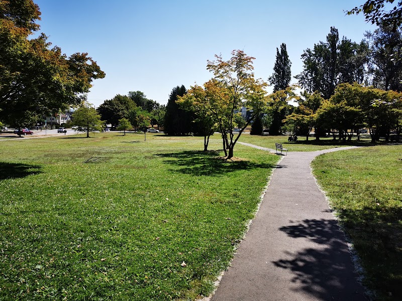 Queen Elizabeth Dog Off-Leash Area dog park in Vancouver, British Columbia