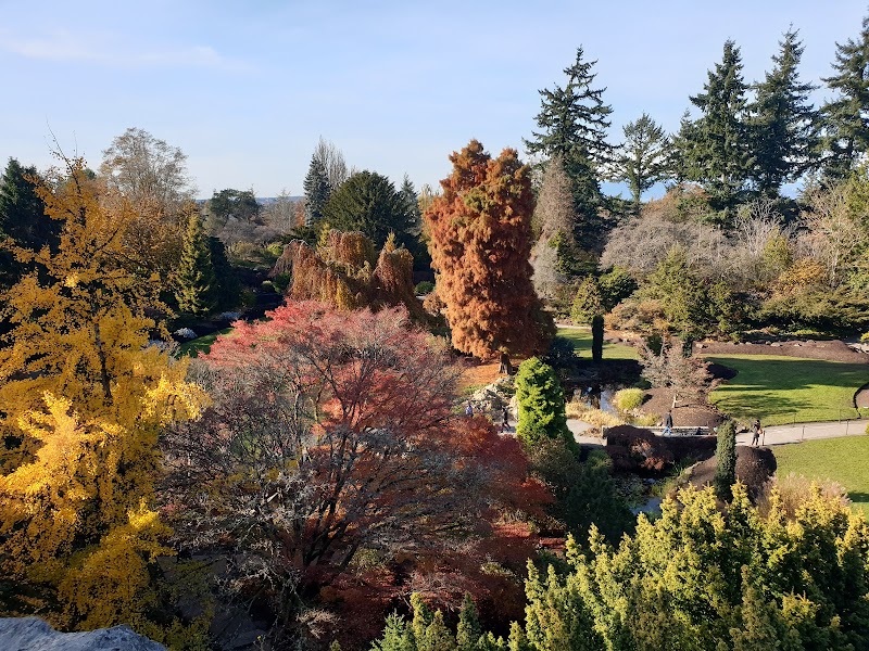 Queen Elizabeth Dog Off-Leash Area dog park in Vancouver, British Columbia