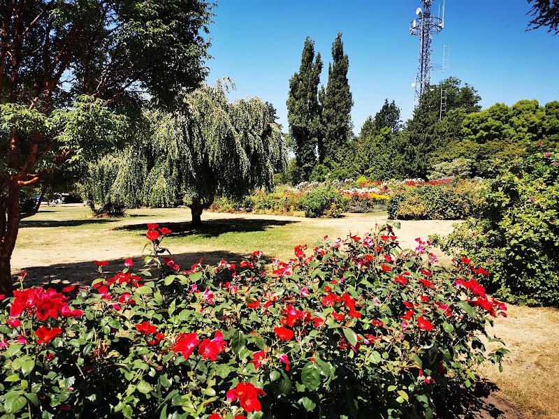 Queen Elizabeth Dog Off-Leash Area dog park in Vancouver, British Columbia
