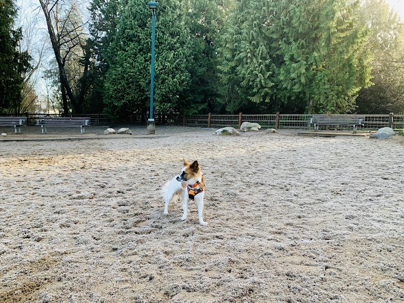 Renfrew Community Park Dog Off-Leash Enclosure dog park in Vancouver, British Columbia